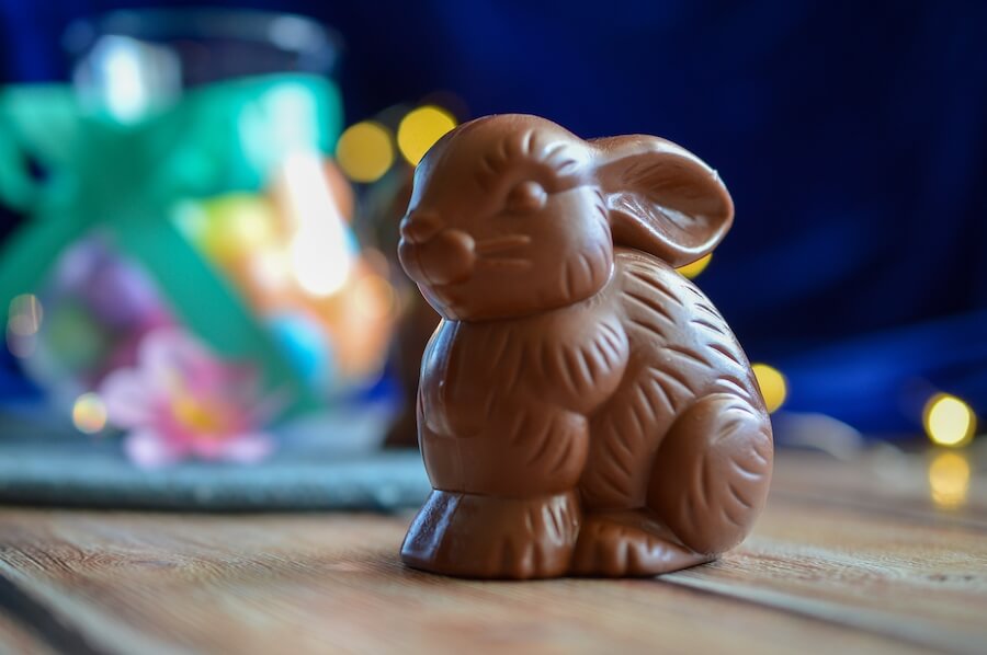 Czekoladowy zajączek